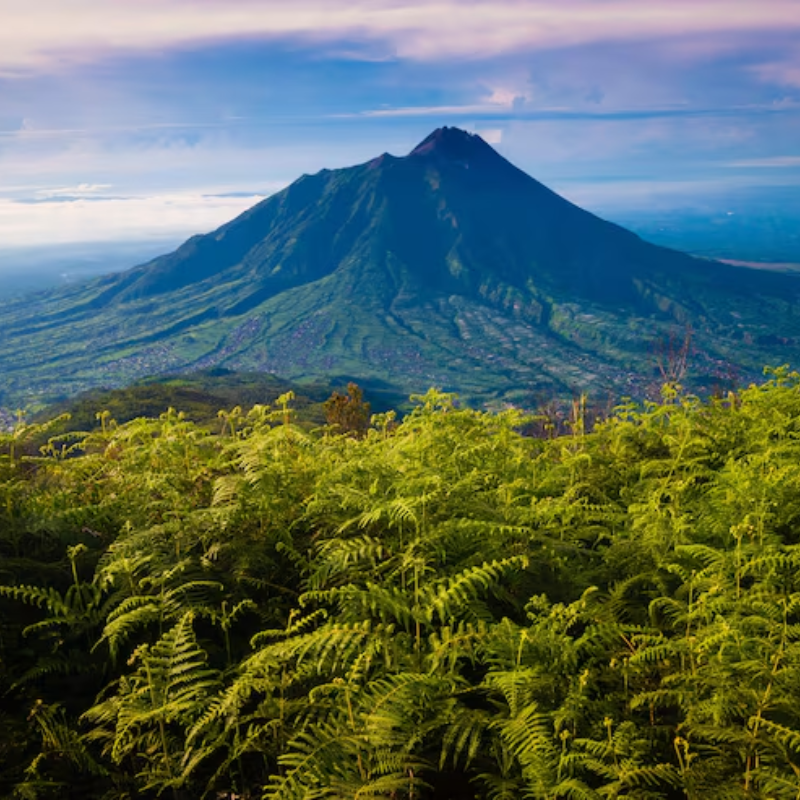 Mount Merapi